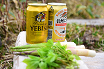 風吹大池 2017年6月24日