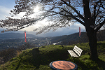 祢津城山 2017年4月19日