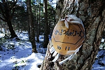 八柱山 2017年12月3日