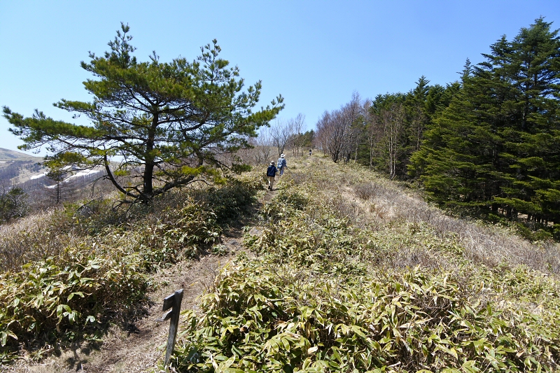 山彦谷南の耳 北の耳 大笹峰 2020年5月2日