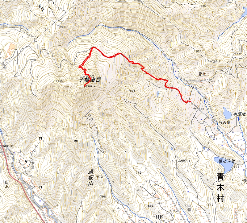 子檀嶺岳  2020年5月29日