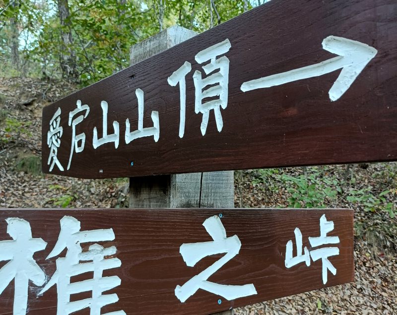 �����R�@2025�N10��25��