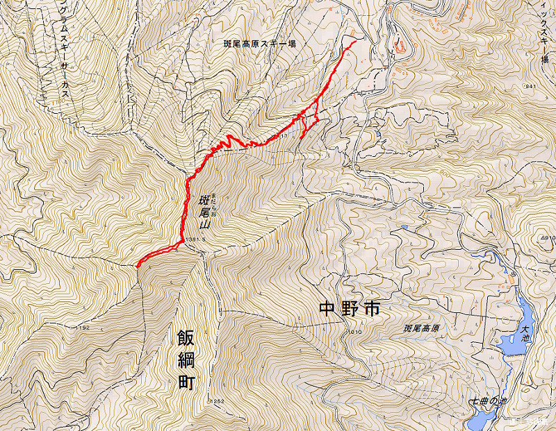 �����R�@2025�N11��8��