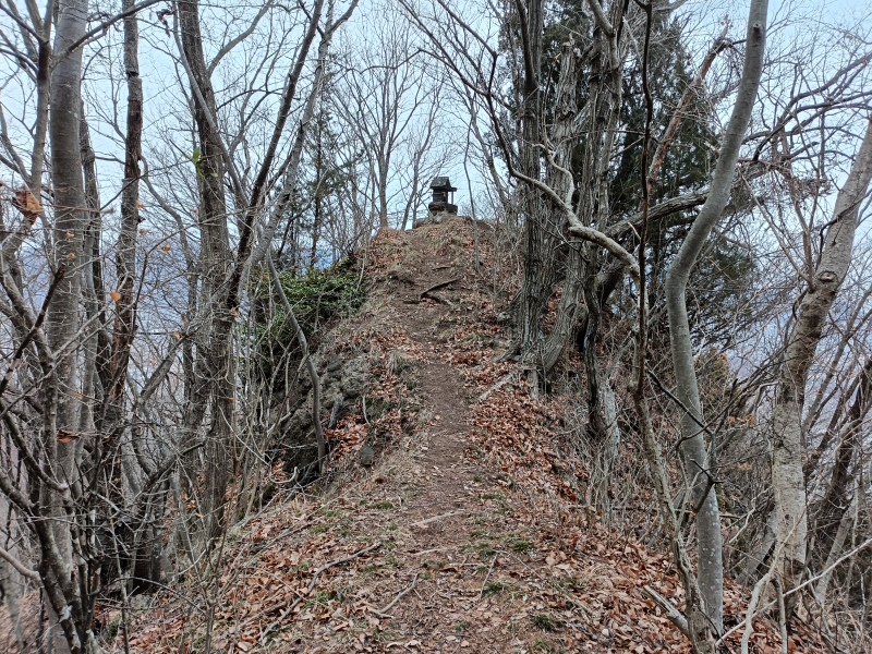 ���q�隬�@2026�N1��24��