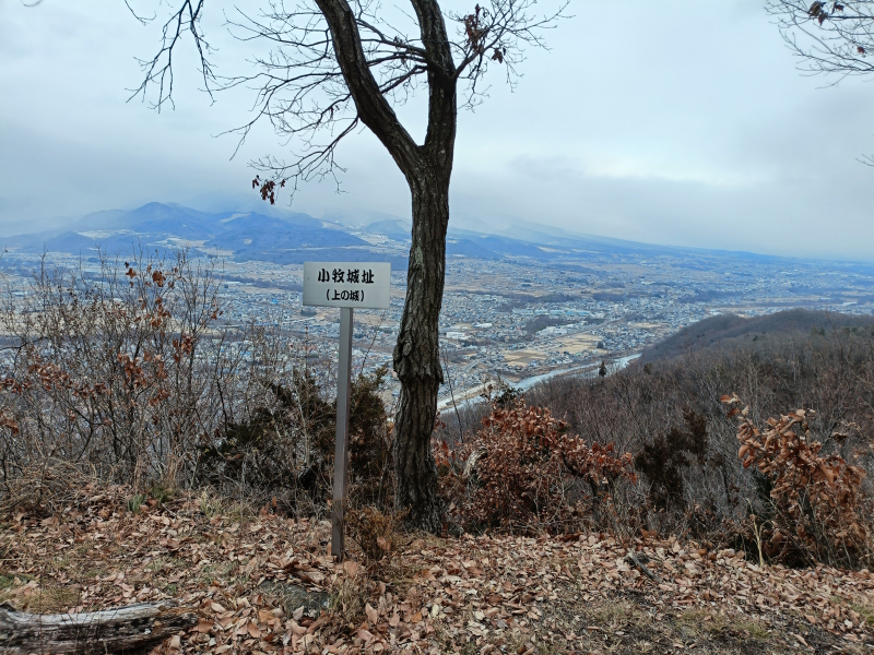 ���q�隬�@2026�N1��24��